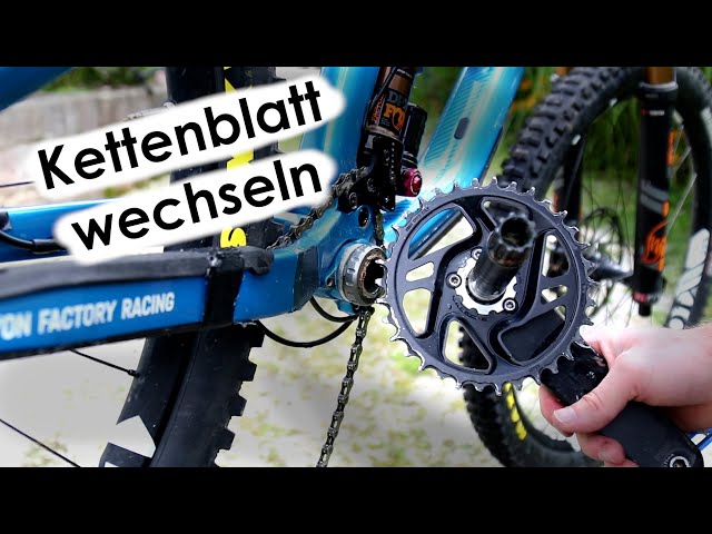 ditto pedal manual TC Electronic Looper Mini Loop Top Gear fans praise Adventure Off-Road Color:Paars - Paars