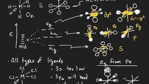 Ligand Field Theory Basics 1: SALCs of Sigma-Only Donors, Pi-Donors, and Pi-Acceptors in Oh Symmetry