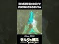 龍素材を狙ってボコボコにされるリンクｗｗ【ゼルダの伝説 ブレス オブ ザ ワイルド】