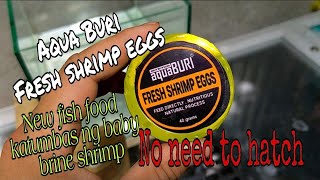 AQUA BURI fresh shrimp eggs/ new fish food na pweding itapat s baby brine shrimp (BBS)...