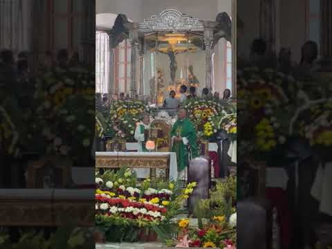 Peregrinación al Cristo