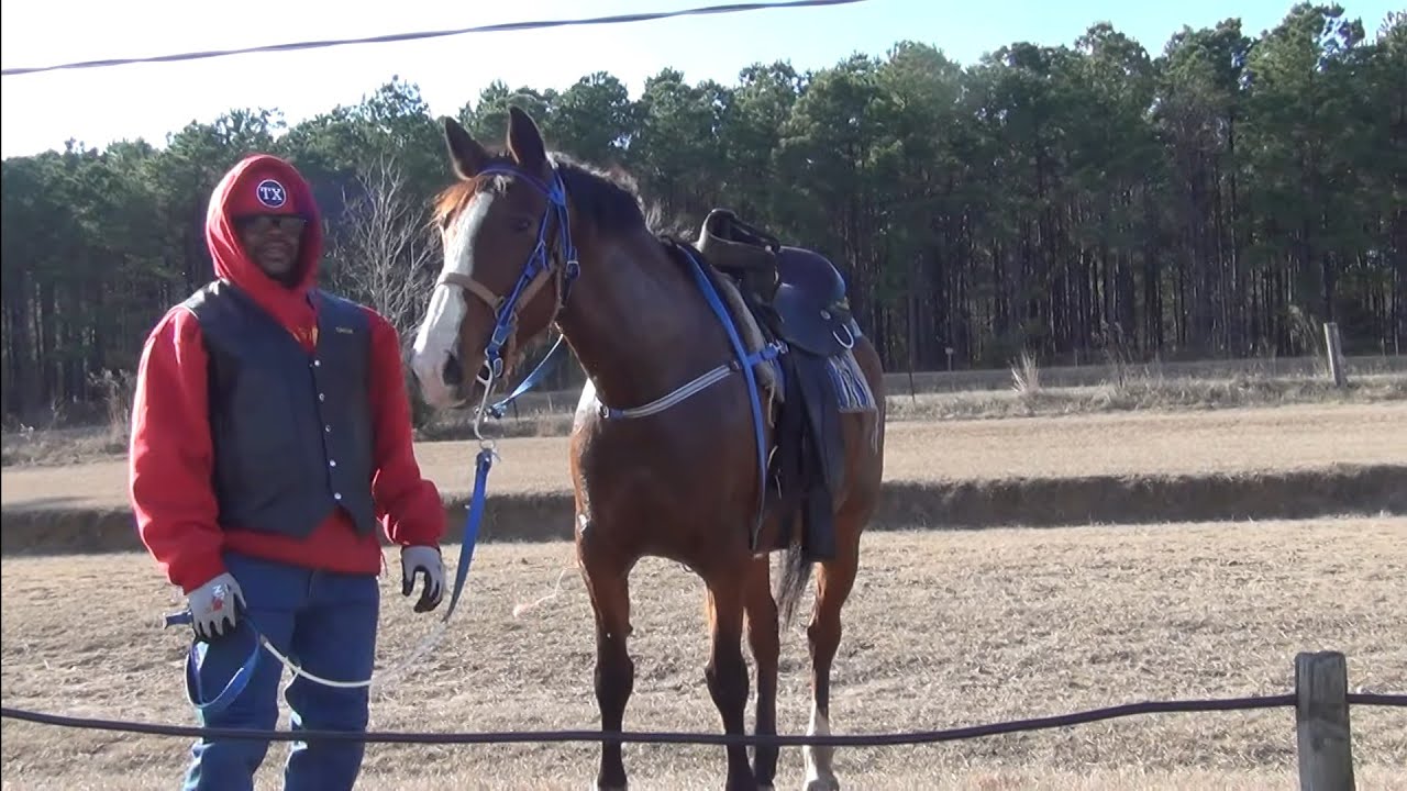 RUFF RIDERZ Trail Riders of Marshall Texas at Hooks Texas Riders Ride ...