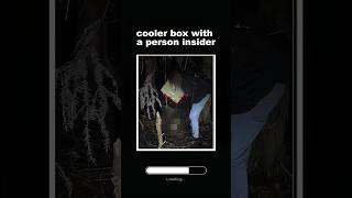 Cooler Box With Baby Insider
