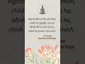 🙏Nam Mô A Di Đà Phật