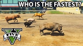 GTA V  Which animal is the Fastest? [All animals race]
