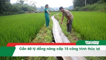 Cần 60 tỷ đồng nâng cấp 15 công trình thủy lợi