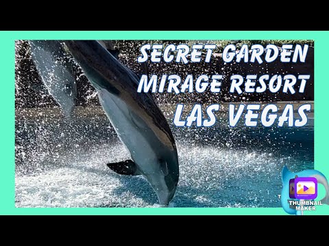 LAS VEGAS TO DO | Secret Garden MIRAGE CASINO & RESORT | Family Fun | LIONS & TIGERS | DOLPHIN