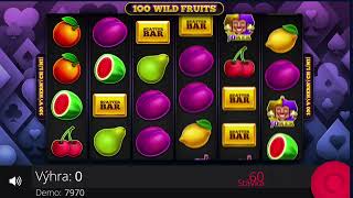 100 WILD FRUITS -  SCATTER BAR WIN BONUS screenshot 4