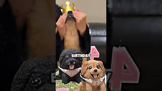 He Joyfully Eat The Cake But When He Saw His Friend Cake He Stopped And Couldnt Finish His Cake