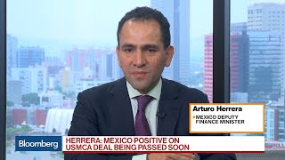 Mexico 'Quite Positive' on USMCA Ratification, Herrera Says