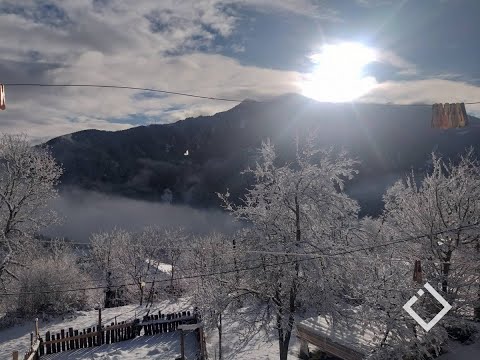 შიდა სასოფლო გზების გაწმენდითი სამუშაოები