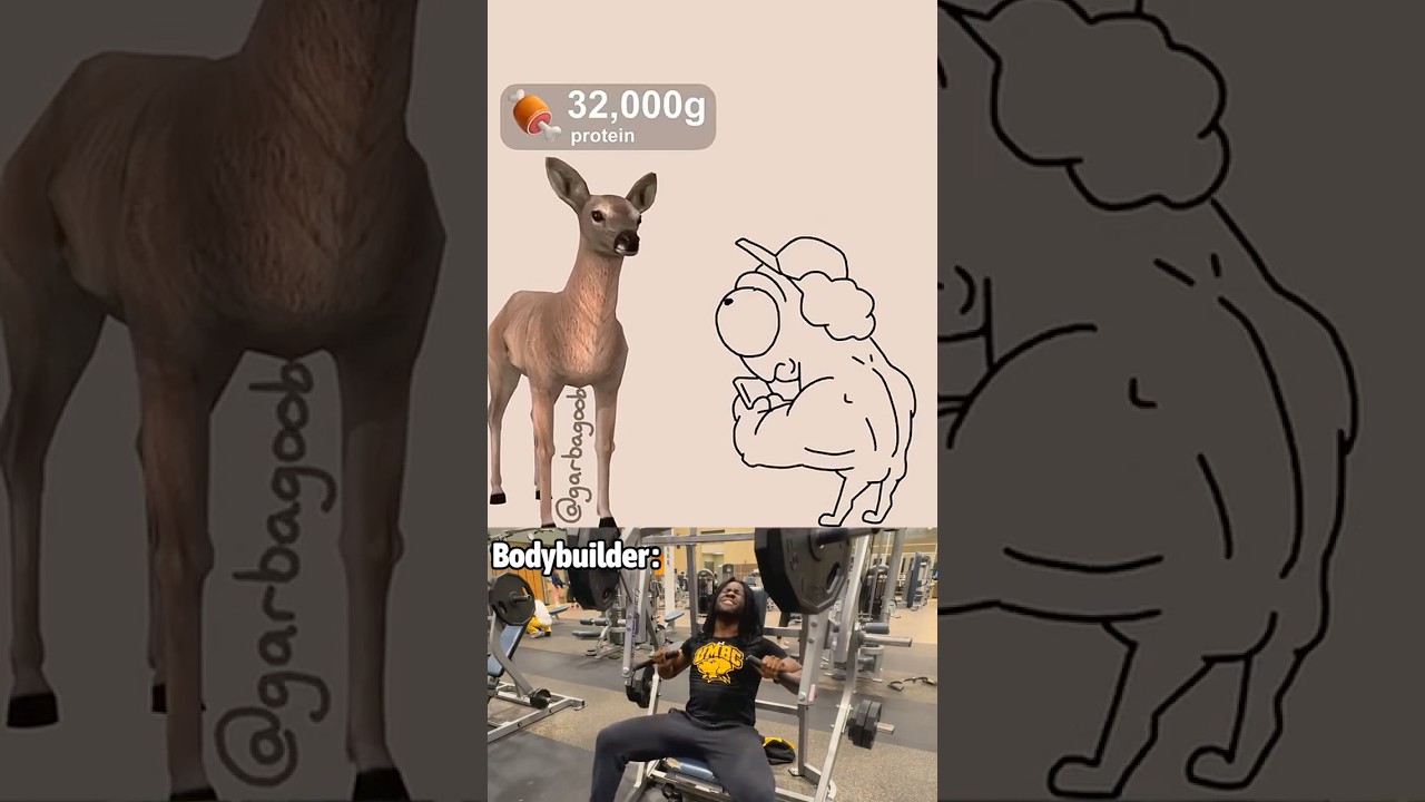 This Gym Animation Gets WILD — Protein Scan Goes Off the Rails 💥