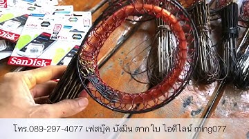 ชุดต่อนกอีลุ้ม 1,540฿ ราคาพร้อมส่งปลายทาง ครืนดักนกอีลุ้ม ดักไก่ป่า 0892974077