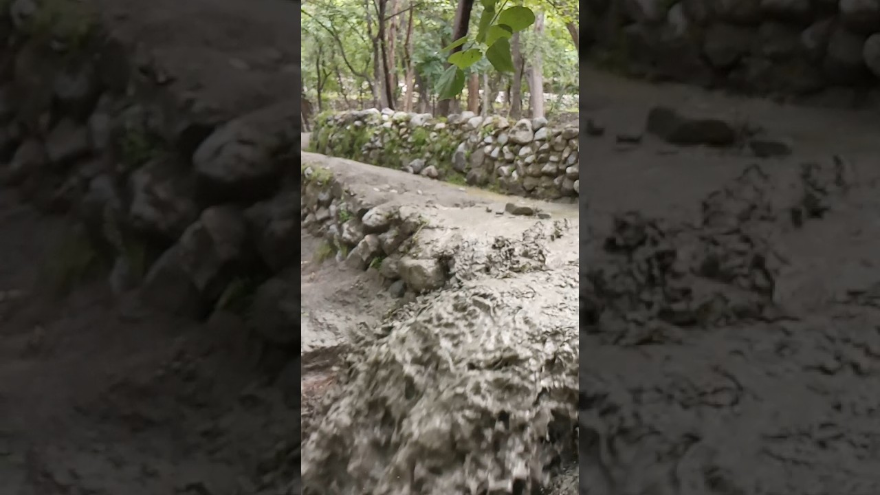 The flood has come in mountain area 😱🫢