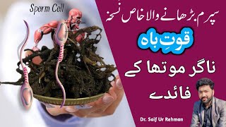 Mardana kamzori ka ilaj in urdu | Nagarmotha benefits | Dr. Saif Ur Rehman