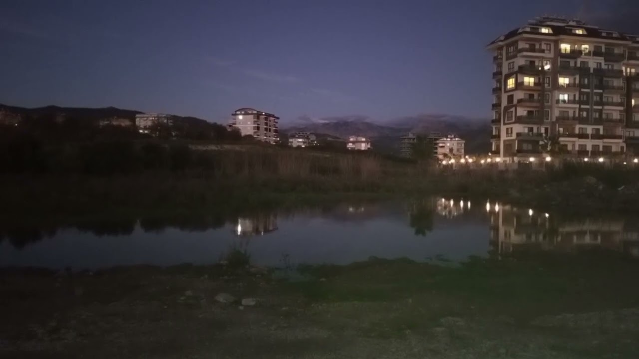 Tiere und ich in der Türkei 17.12.2023