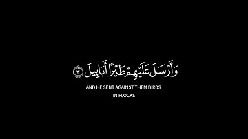 كرومات قرآن - سورة الفيل - القارئ فيصل الهاجري