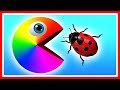 Learn colors with Pacman as he finds a ladybug, beetle, caterpillar and travels down a magic slide.
