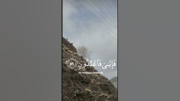 سوره العنكبوت القارئ عبدالرحمن مسعد الأيه(٥٦)و(٥٧)