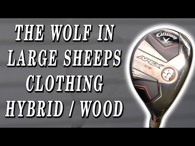 2024キャロウェイ APEX UW 19°No.19 2024 Callaway Apex UW - The Hackers Paradise