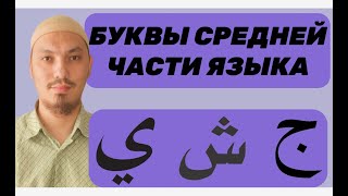 МАХРАДЖ ДЖИМ (ج), ЩИН (ش), ЙА (ي) | БУКВЫ СРЕДНЕЙ ЧАСТИ ЯЗЫКА