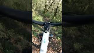 #shorts 762 - VTT MTB DH ENDURO RIDING