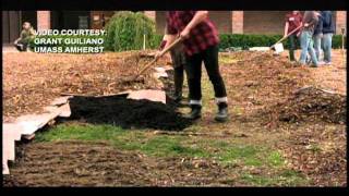 Permaculture at UMass Amherst