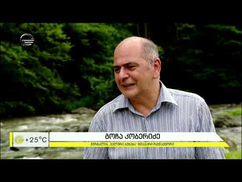 \"არემჯი\" საქართველოს მდინარეებში ფარგას აბრუნებს
