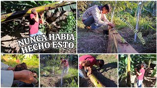 HACEMOS un INCREIBLE EXPERIMENTO con un TRONCO 😱🌱