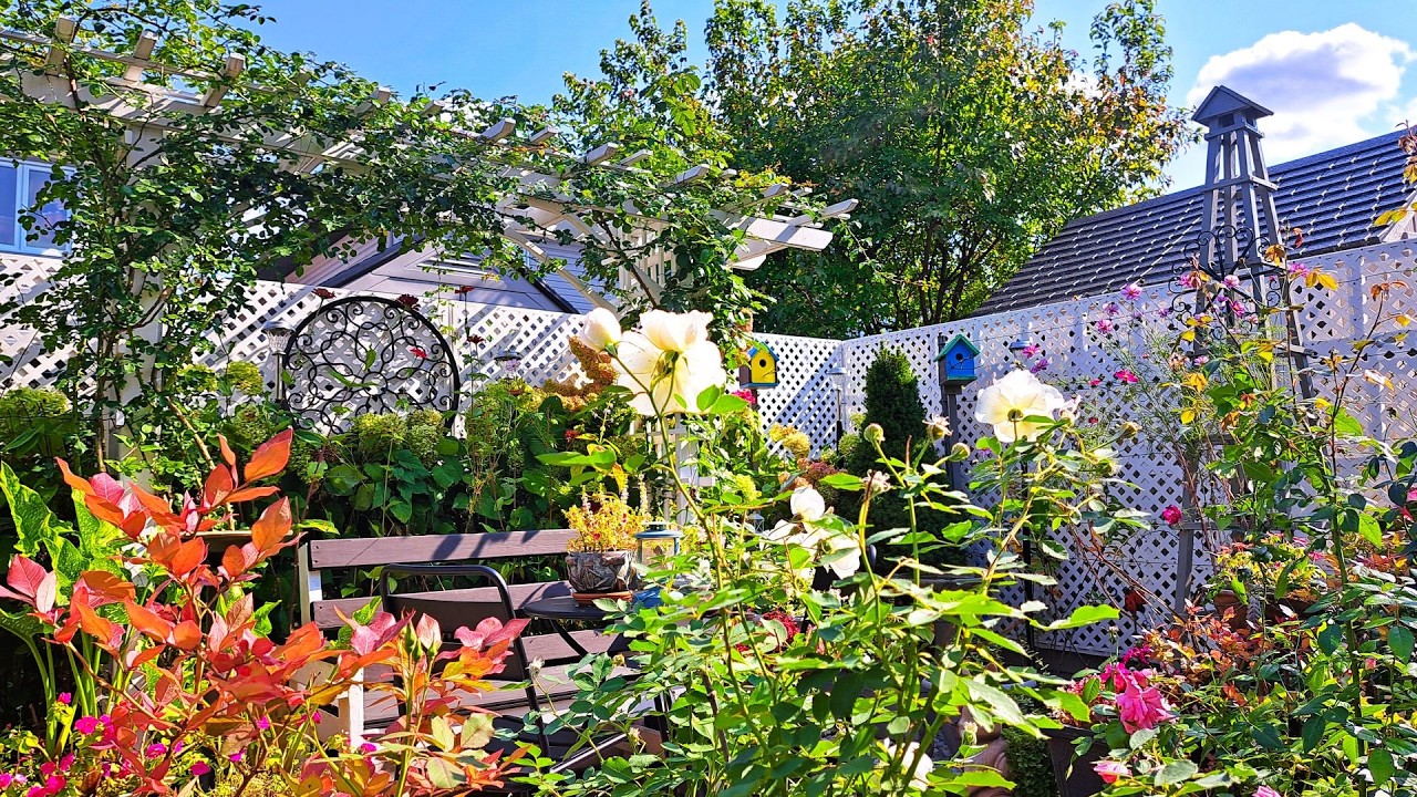 Tiny Backyard Garden Plants and Flowers To Relax in Autumn | 