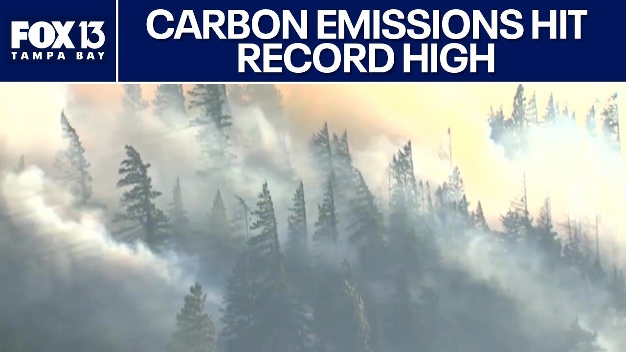 Global carbon emissions hit record high - YouTube