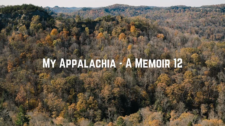 My Appalachia, A Memoir - Children & Divorce