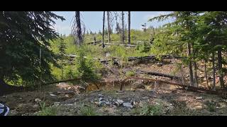 Awesome Abandoned Mine Waterloo Lightening Peak Area