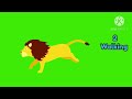 lion green screen | lion attack green screen | lion running green screen | lion eating green screen