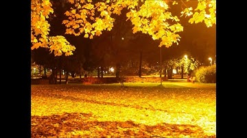 E.S. Posthumus ~ Nasivern Pi.