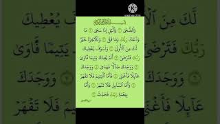 Surah AD-Duha 💫📖 #egzonibrahimi #quranvibes #dailyqurandose #islamicreminder #peacefulrecitation