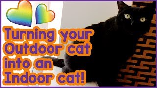 can you make an indoor cat outdoor