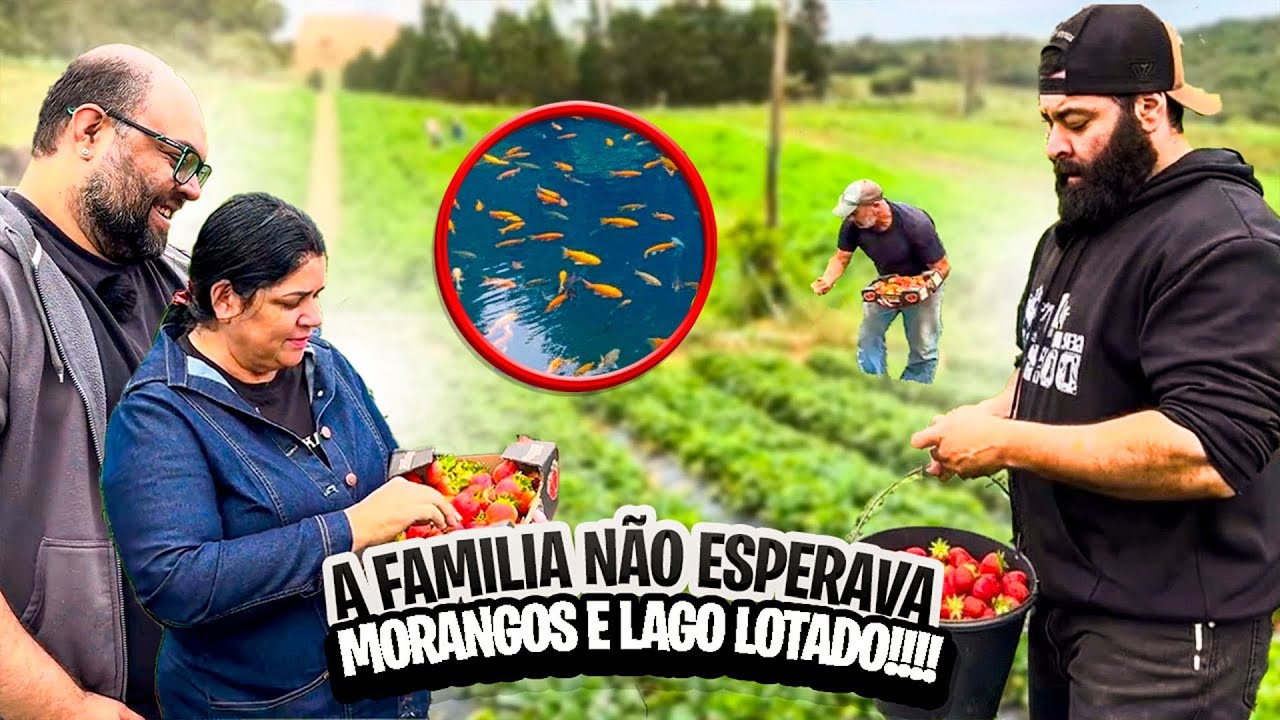 XUCRÃO MOSTRA PLANTAÇÃO DE MORANGO E O LAGO CHEIO DE PEIXES PARA SUA MÃE E IRMÃO! 