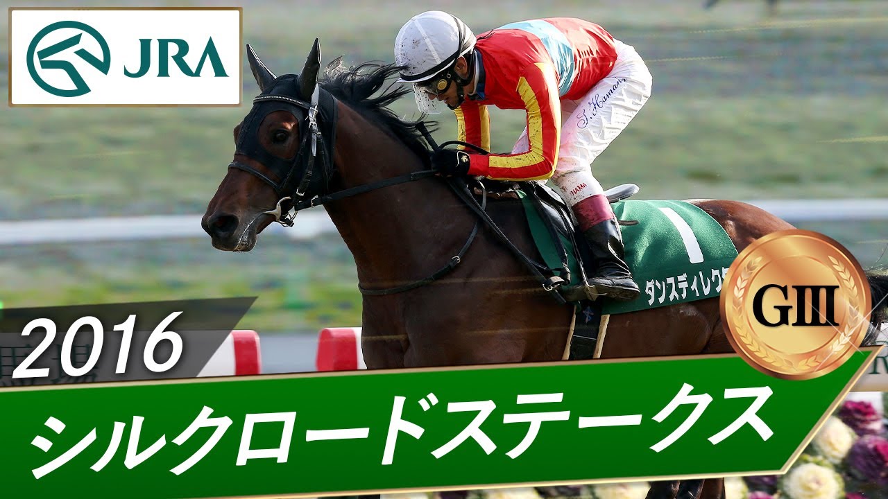 2016 Silk Road Stakes (GIII) | Dance Director | JRA Official - YouTube