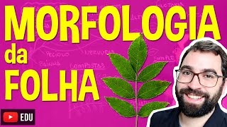 Morfologia da Folha (Organologia) - Aula 17: Botânica (Prof. Guilherme)