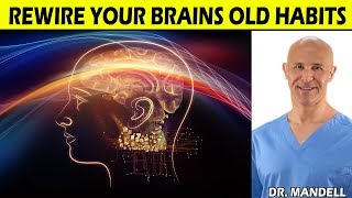 LEARN HOW TO CONTROL YOUR MIND TO CORRECT ANXIETY,  PANIC ATTACKS & PAIN -  Dr Alan Mandell, DC