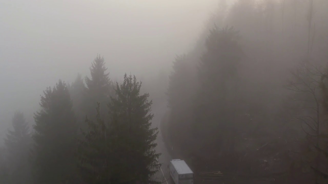 aerial cars driving through creepy foggy forest in bad weather conditions ( halloween free footage )