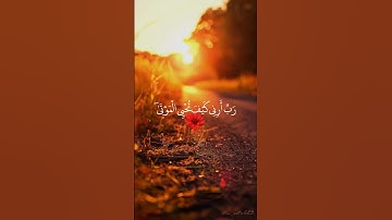 واذ قال ابراهيم ربي ارني كيف تحيي الموتى تلاوة خاشعة #quran #تلاوة_خاشعة #راحة_نفسية