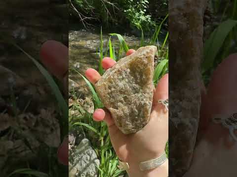 I want to live in the creek #nature #creek #wildlife #rocks #fossils