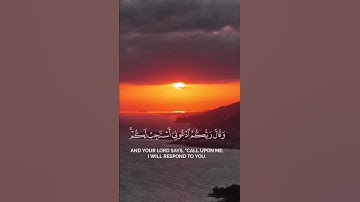 تلاوة رائعة | وقال ربكم ادعوني 🌷#تلاوة_خاشعة #ماهر_المعيقلي #قرآن #اكسبلور #راحة_نفسية #لايك