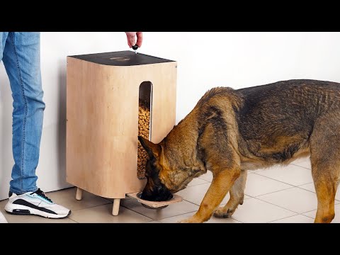 Βίντεο: DIY Dog Feeder