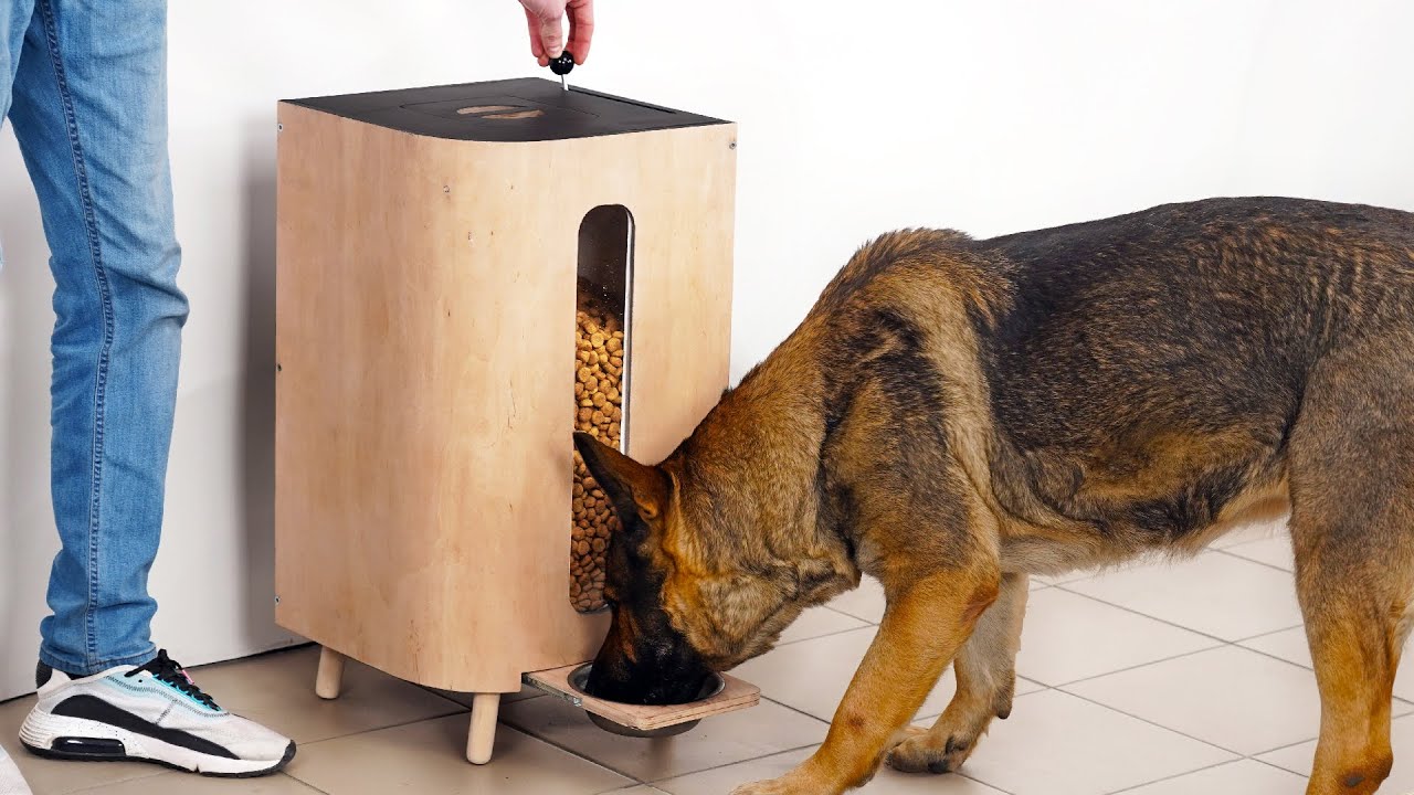 Handmade Dog Food Dispenser: A Smart Solution for Meal Control 