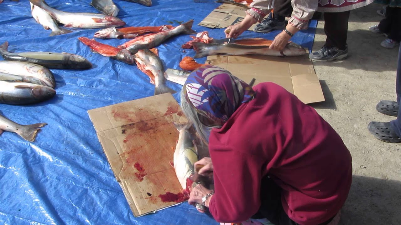 Inuit Fish Filleting Competition