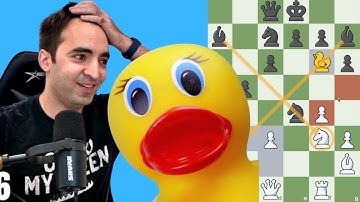 Super Serious Duck Chess | The Championship Finals