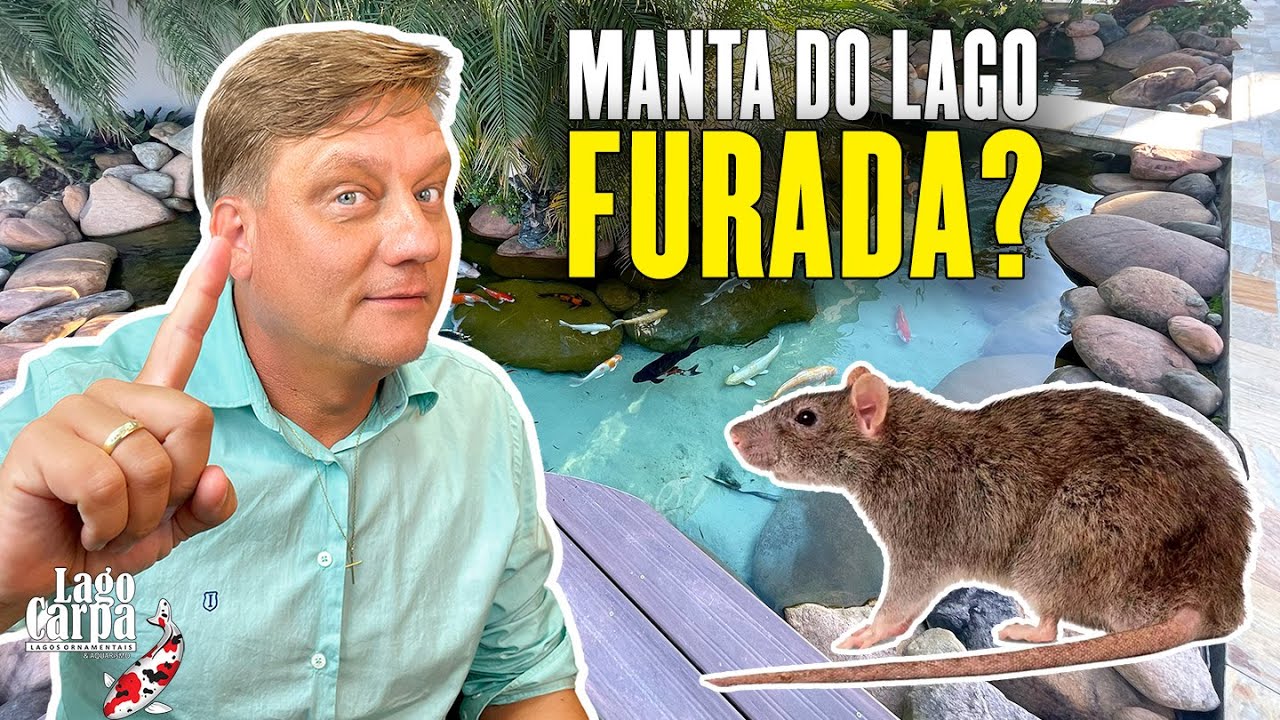 Lago em área de festa e a importância da manta no lago! - [Visitando Lagos - Parte 02]